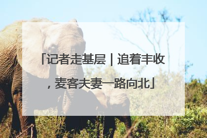 记者走基层｜追着丰收，麦客夫妻一路向北