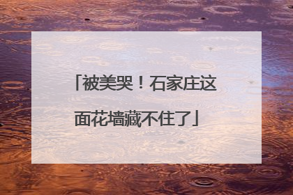 被美哭！石家庄这面花墙藏不住了