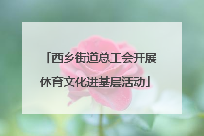 西乡街道总工会开展体育文化进基层活动