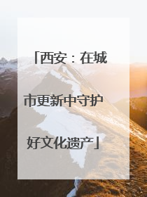 西安：在城市更新中守护好文化遗产