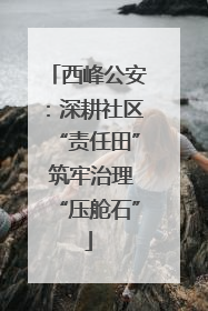 西峰公安：深耕社区“责任田” 筑牢治理“压舱石”