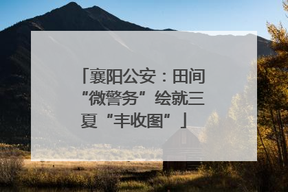 襄阳公安：田间“微警务”绘就三夏“丰收图”