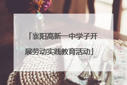 襄阳高新一中学子开展劳动实践教育活动