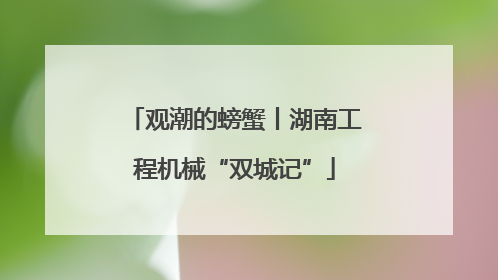 观潮的螃蟹丨湖南工程机械“双城记”