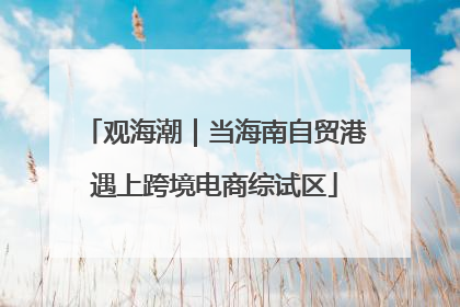 观海潮｜当海南自贸港遇上跨境电商综试区