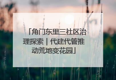 角门东里三社区治理探索｜代建代管推动荒地变花园