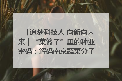 追梦科技人 向新向未来｜“菜篮子”里的种业密码：解码南京蔬菜分子育种的创新之路