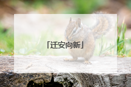 迁安向新