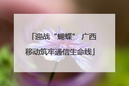 迎战“蝴蝶” 广西移动筑牢通信生命线