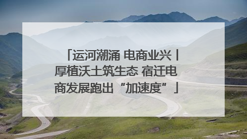 运河潮涌 电商业兴丨厚植沃土筑生态 宿迁电商发展跑出“加速度”