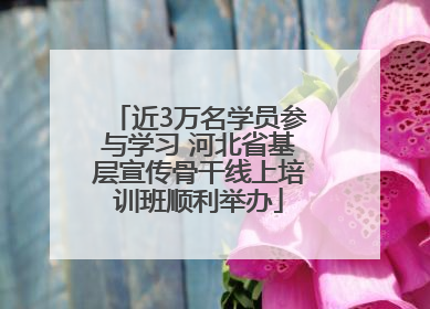近3万名学员参与学习 河北省基层宣传骨干线上培训班顺利举办
