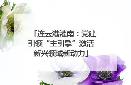 连云港灌南：党建引领“主引擎”激活新兴领域新动力