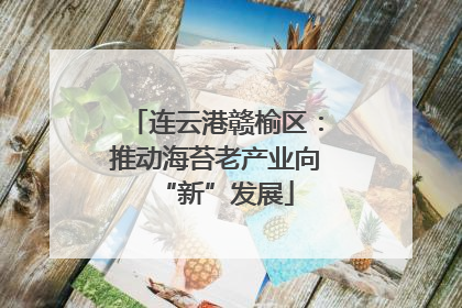 连云港赣榆区：推动海苔老产业向“新”发展