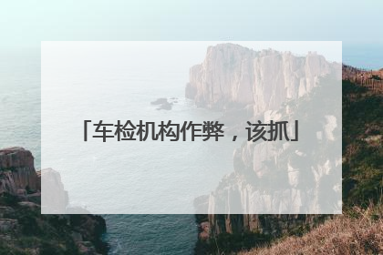 车检机构作弊，该抓