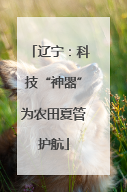 辽宁：科技“神器”为农田夏管护航