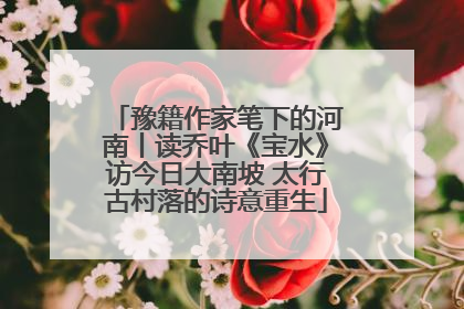豫籍作家笔下的河南丨读乔叶《宝水》访今日大南坡 太行古村落的诗意重生