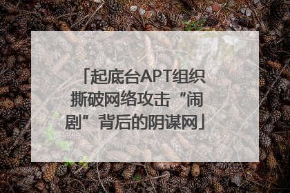 起底台APT组织 撕破网络攻击“闹剧”背后的阴谋网