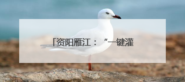 资阳雁江：“一键灌溉”万亩良田 全域灌溉项目7月投用