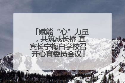 赋能“心”力量，共筑成长桥 宜宾长宁梅白学校召开心育委员会议