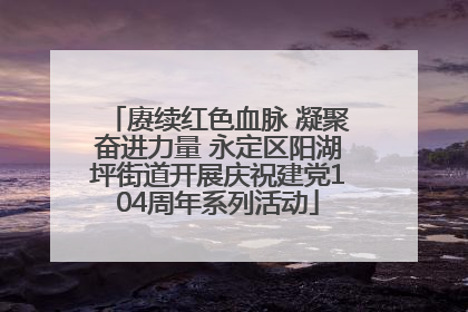 赓续红色血脉 凝聚奋进力量 永定区阳湖坪街道开展庆祝建党104周年系列活动