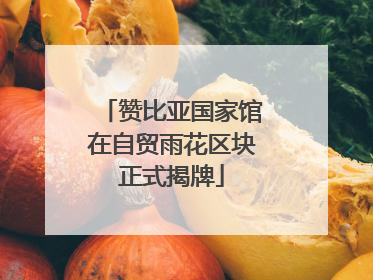 赞比亚国家馆在自贸雨花区块正式揭牌