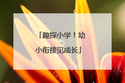 趣探小学！幼小衔接见成长