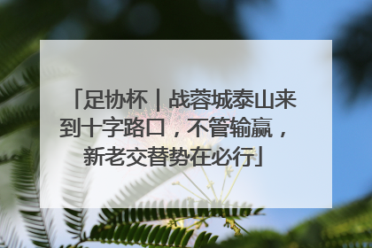 足协杯｜战蓉城泰山来到十字路口，不管输赢，新老交替势在必行