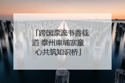 跨国漂流书香载道 泰州柬埔寨童心共筑知识桥