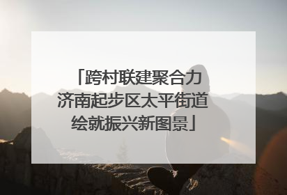 跨村联建聚合力 济南起步区太平街道绘就振兴新图景