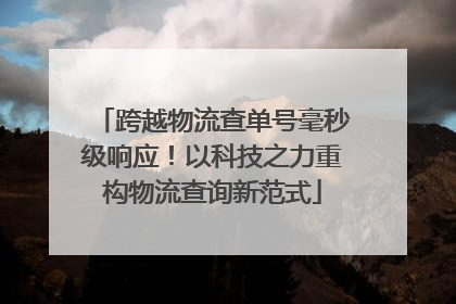 跨越物流查单号毫秒级响应！以科技之力重构物流查询新范式