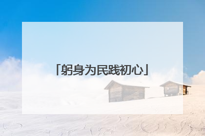 躬身为民践初心