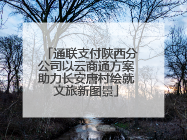 通联支付陕西分公司以云商通方案助力长安唐村绘就文旅新图景