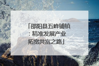 邵阳县五峰铺镇：精准发展产业 拓宽共富之路