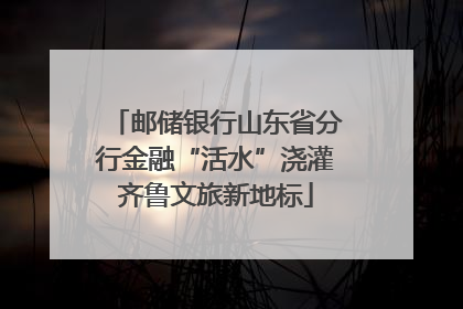 邮储银行山东省分行金融“活水”浇灌齐鲁文旅新地标