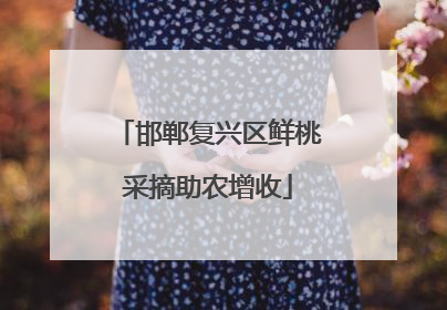 邯郸复兴区鲜桃采摘助农增收