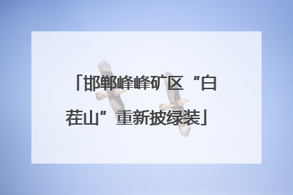 邯郸峰峰矿区“白茬山”重新披绿装