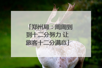 郑州局：周周到到十二分努力 让旅客十二分满意