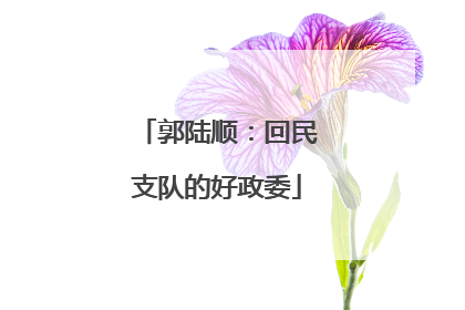 郭陆顺：回民支队的好政委