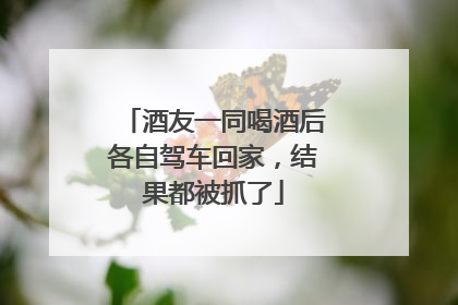 酒友一同喝酒后各自驾车回家，结果都被抓了