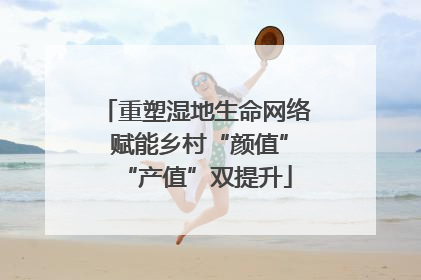 重塑湿地生命网络 赋能乡村“颜值”“产值”双提升