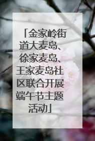 金家岭街道大麦岛、徐家麦岛、王家麦岛社区联合开展端午节主题活动