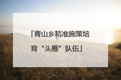 青山乡精准施策培育“头雁”队伍
