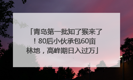 青岛第一批知了猴来了！80后小伙承包60亩林地，高峰期日入过万