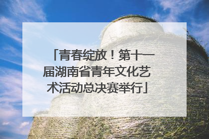 青春绽放！第十一届湖南省青年文化艺术活动总决赛举行