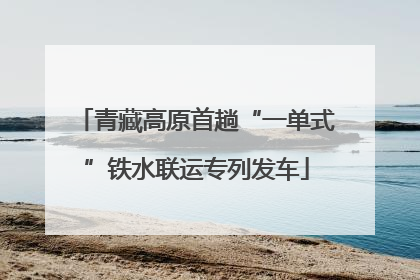 青藏高原首趟“一单式”铁水联运专列发车