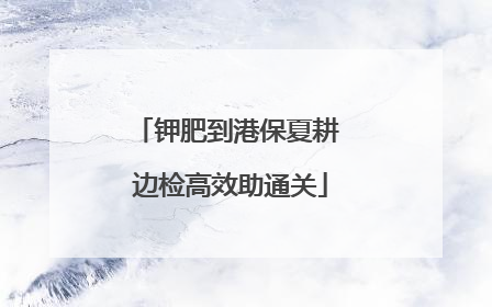 钾肥到港保夏耕 边检高效助通关
