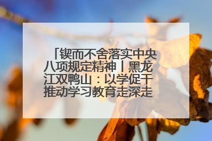 锲而不舍落实中央八项规定精神丨黑龙江双鸭山：以学促干推动学习教育走深走实 从小事入手写好“民生答卷”