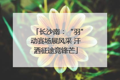 长沙南：“羽”动赛场展风采 汗洒征途竞锋芒
