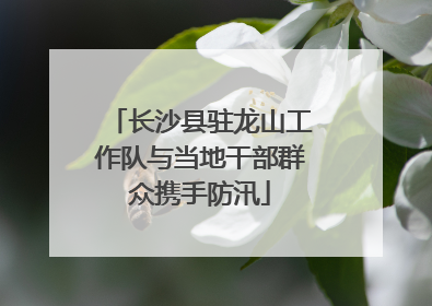 长沙县驻龙山工作队与当地干部群众携手防汛