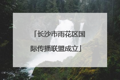 长沙市雨花区国际传播联盟成立
